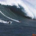 waimea big wawe